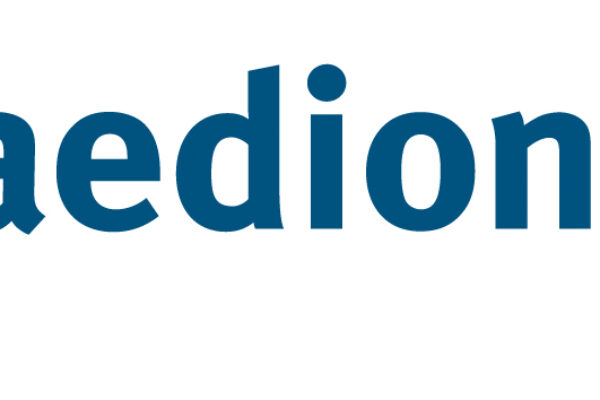 Staedion-logo