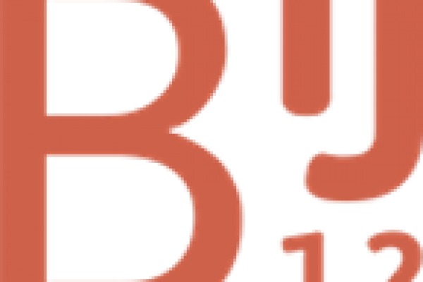 bij12 logo