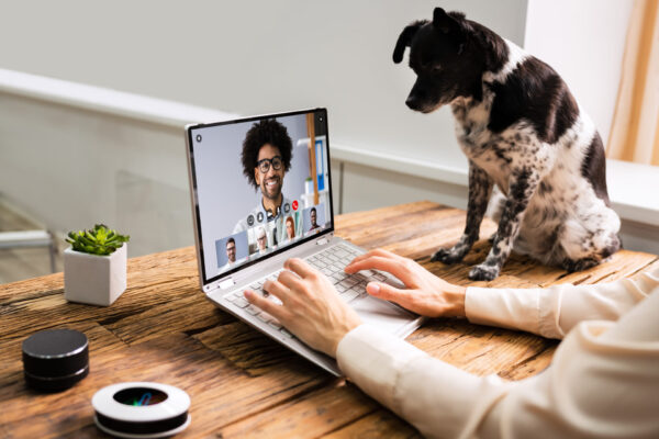 Video,Conference,Webinar,Call,With,Dog.,Online,Work,Meeting
