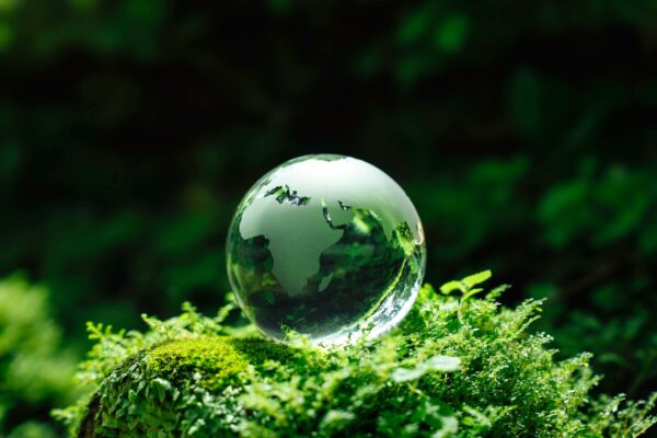 Crystal,Globe,Glass,On,Green,Moss,In,Forest,To,Protect