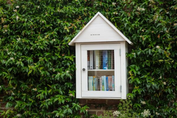 Hasselt,,Netherlands,-,July,19,2026:,Minibieb,Bookcase,Library,Local