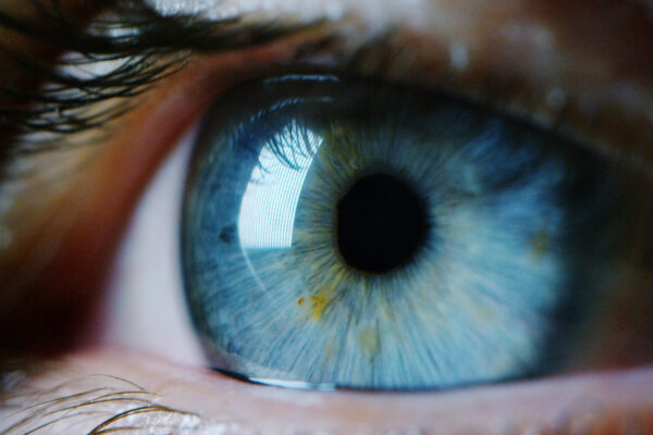 Perfect,Blue,Eye,Macro,In,A,Sterile,Environment,And,Perfect