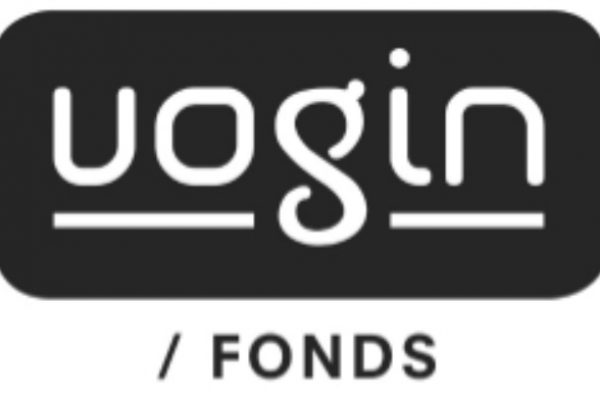 vogin logo